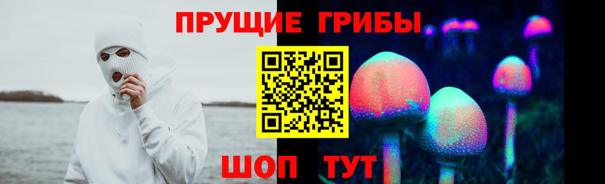 Домодедово  Псилоцибиновые грибы мицелий  Вход с VPN 